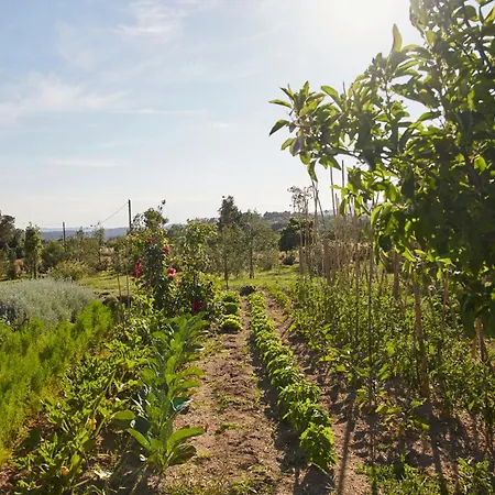 Ola Living Playa Del Castell * Montrás