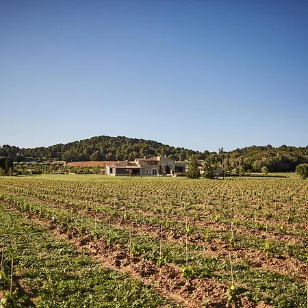 Ola Living Playa Del Castell Montrás