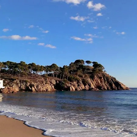 Ola Living Playa Del Castell 别墅 Montrás