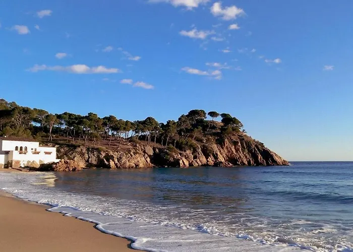 Ola Living Playa Del Castell 빌라 Montrás